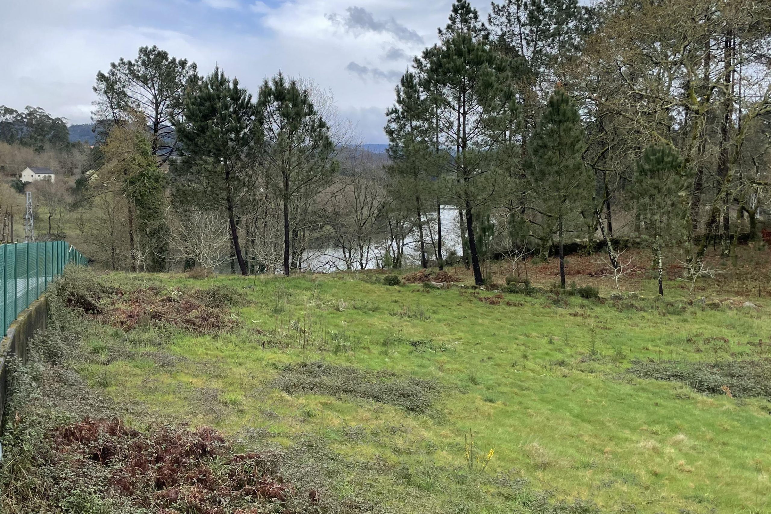 Terreno em travassos 1.1